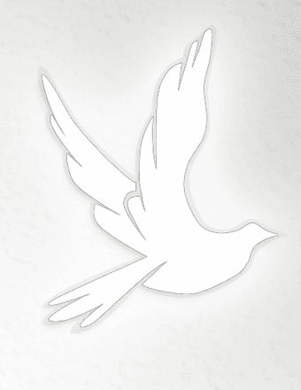 Charlotte Madison Obituary